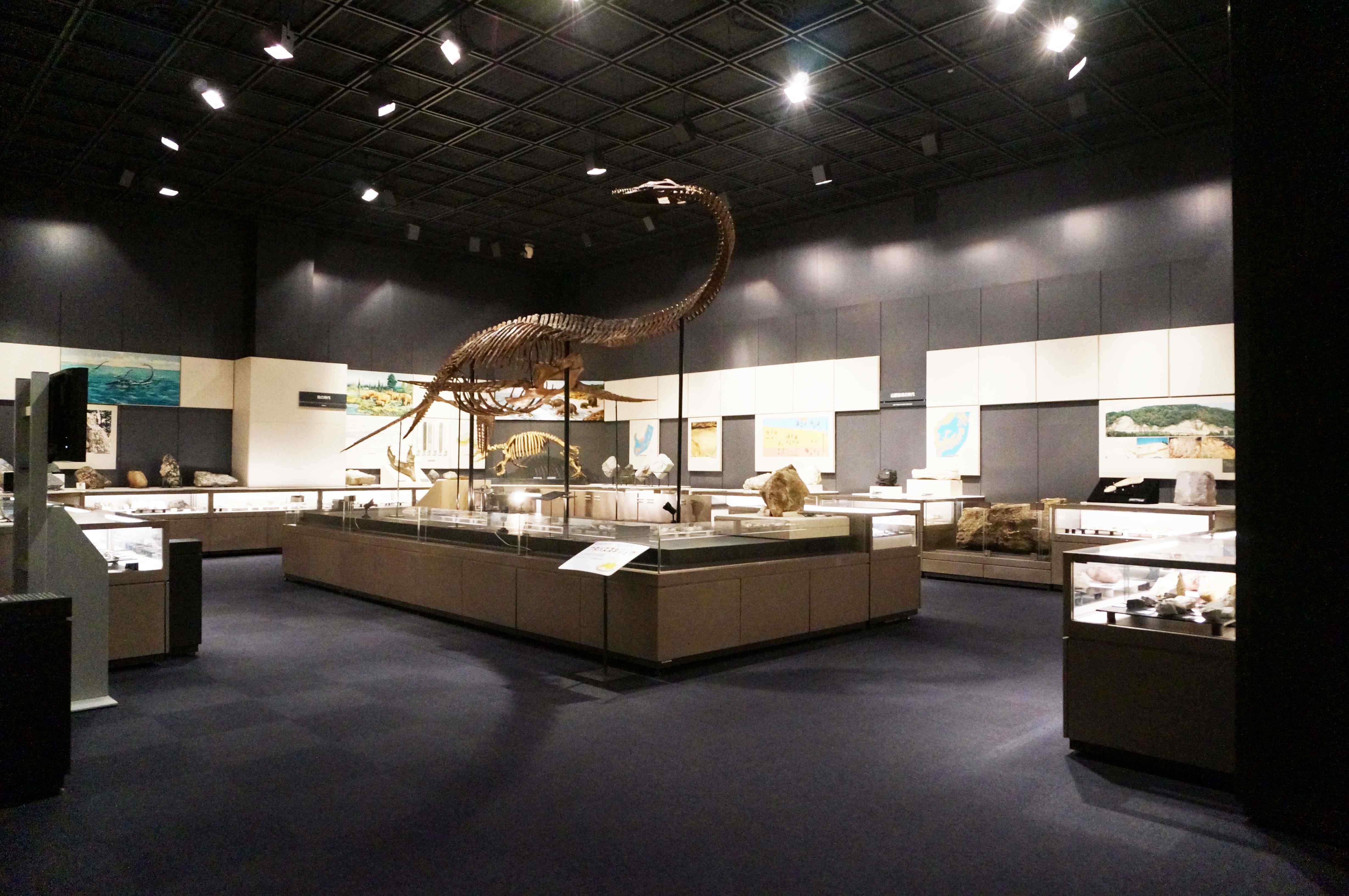 🏛️ 후쿠시마 현립 박물관 (후쿠시마켄리쓰하쿠부쓰칸)